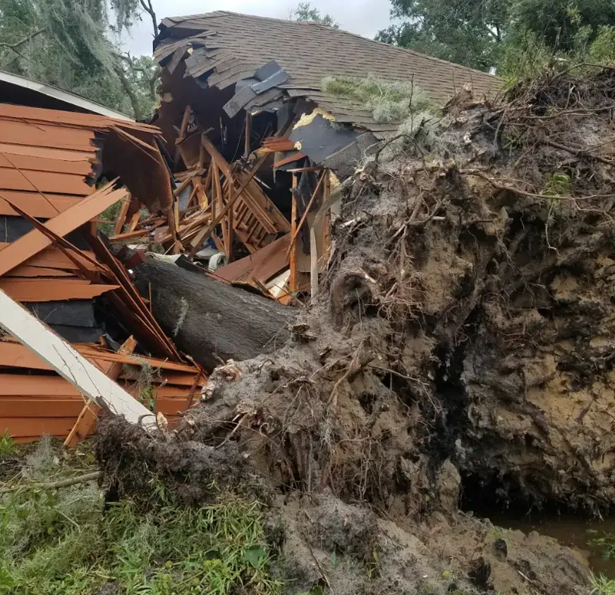 Uprooted tree fallen through a Jacksonville home roof after a storm