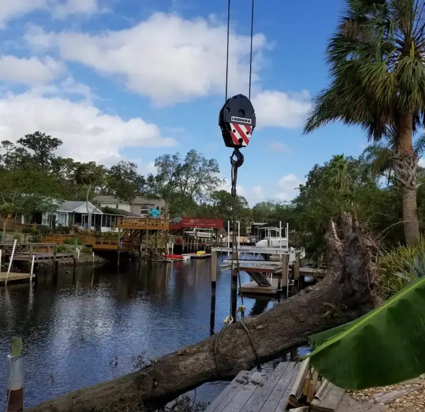 Liebherr crane hook lowering a log over a Jacksonville waterway