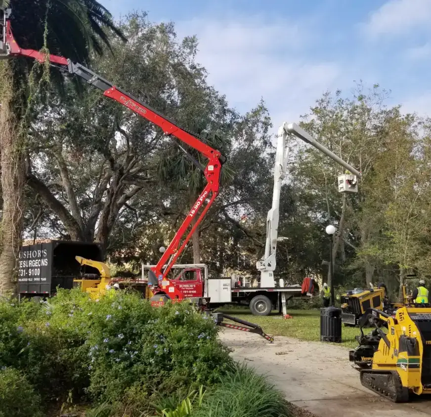 Bushor's Tree Surgeons fleet — red and white bucket trucks and branded dump truck on a Jacksonville job