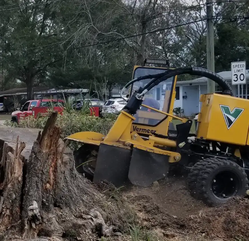Vermeer stump grinder and red Bushor truck on a residential street